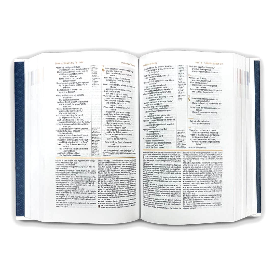 NIV Study Bible – Personal size 3